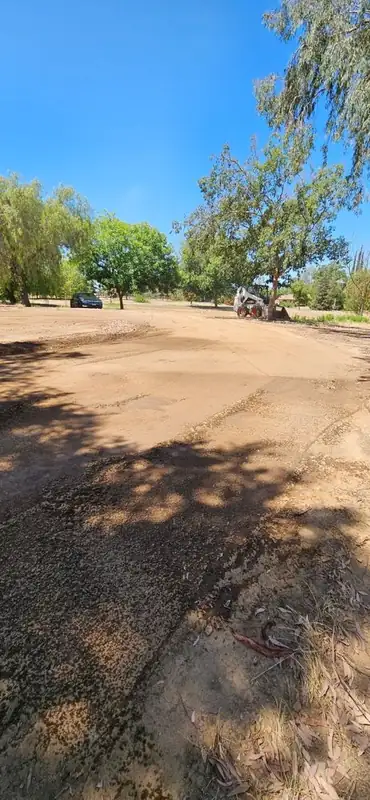 Large yard graded flat under willow trees